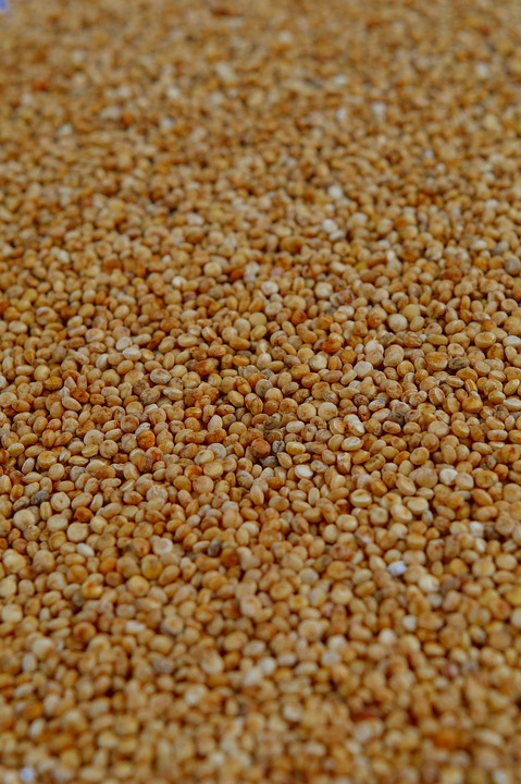 quinoa-1243592_960_720