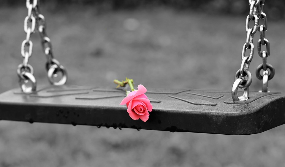 pink-rose-on-empty-swing-3656894_960_720