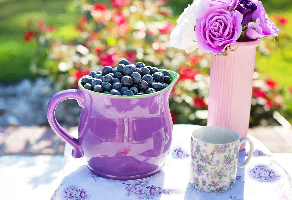 blueberries-864627_960_720
