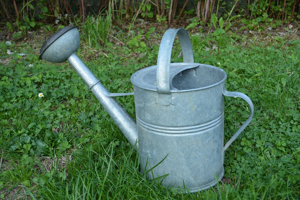 watering-can-1376691_960_720