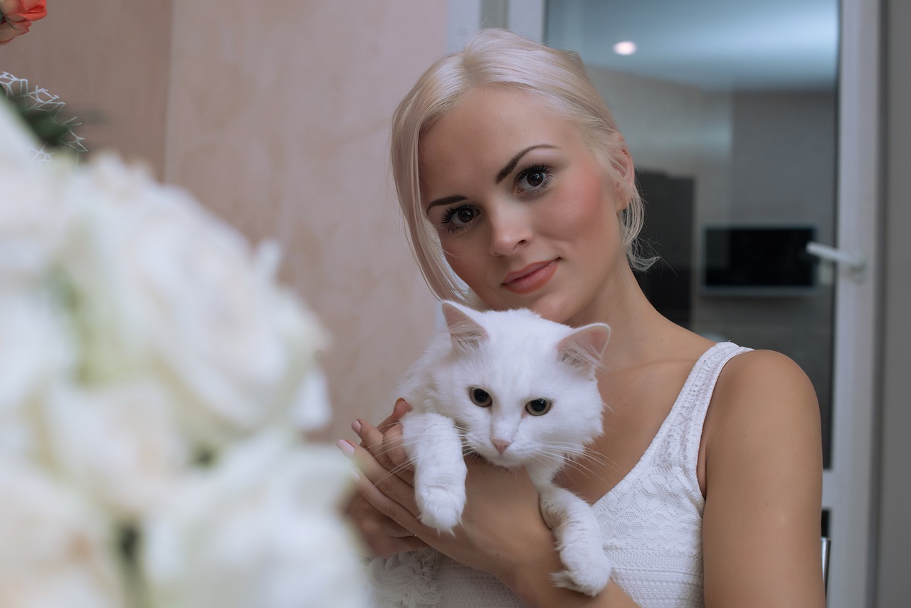 white-cat-with-blonde-4655232_1280