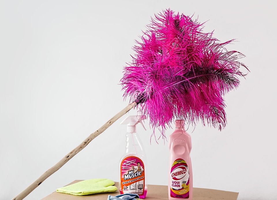 feather-duster-709124_960_720