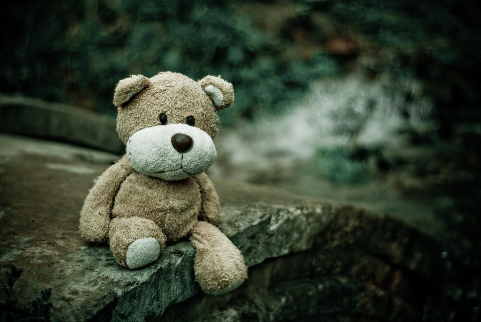 teddy-bear-1835598_960_720