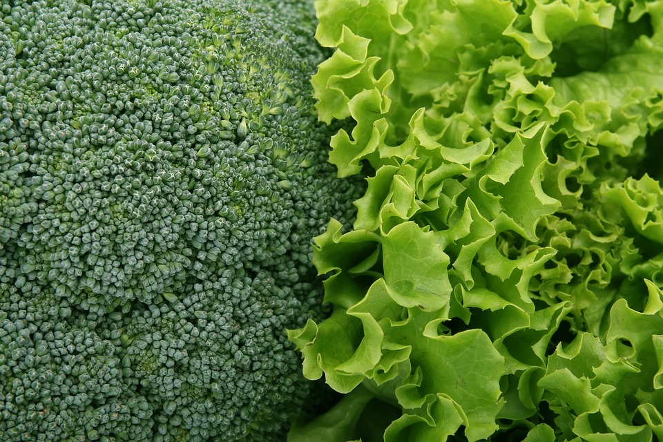 broccoli-1239430_960_720