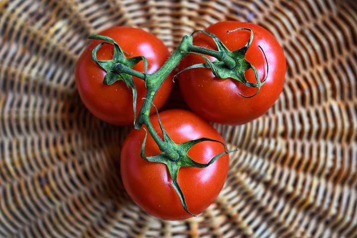 tomatoes-3520004__480