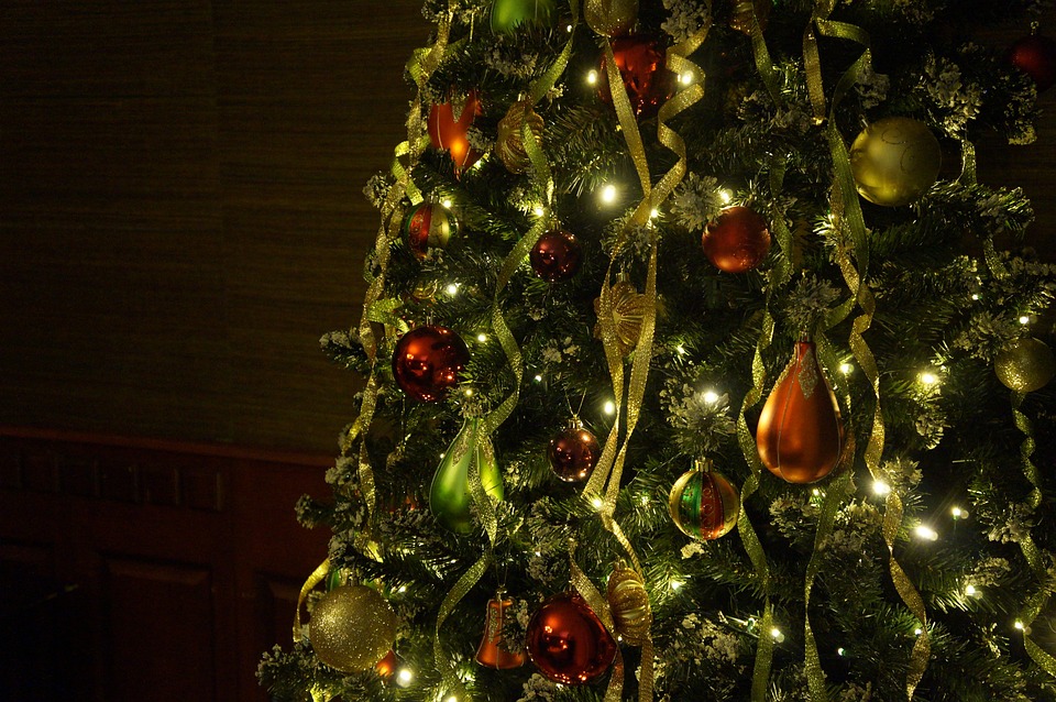 christmas-tree-708003_960_720