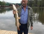 snapedit_1758201223502-scaled